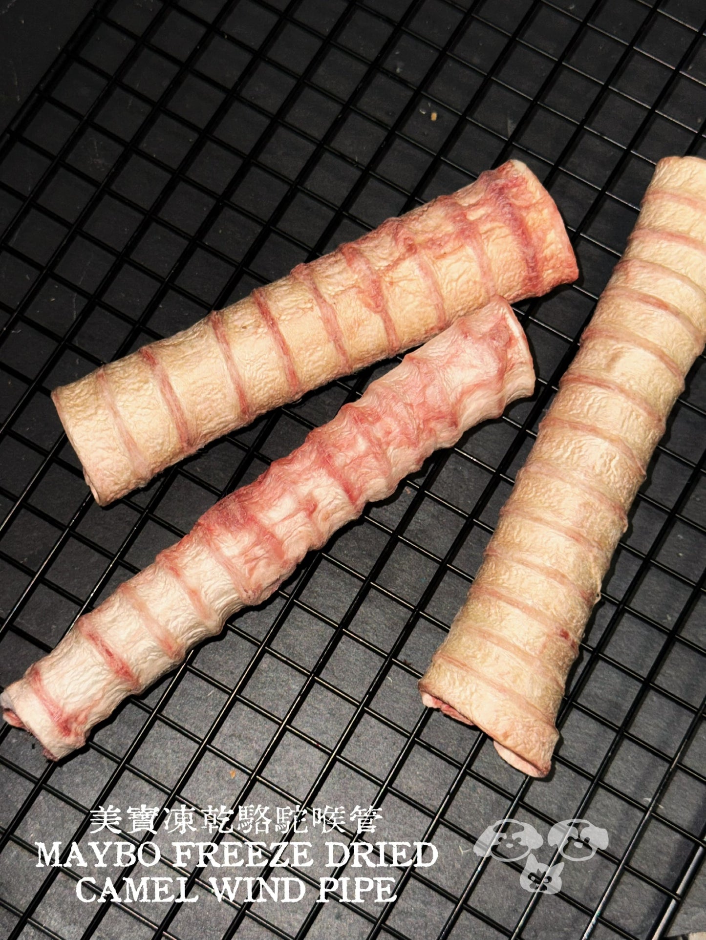 Freeze Dried Camel Trachea 2PC