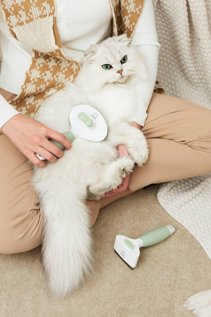 Michu Cream Round-Head Pet Grooming Brush - Perfect for Gentle Coat Care