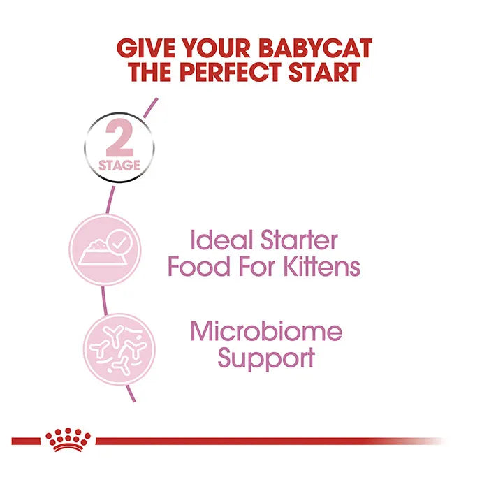 Mother & Babycat Cat & Kitten Food