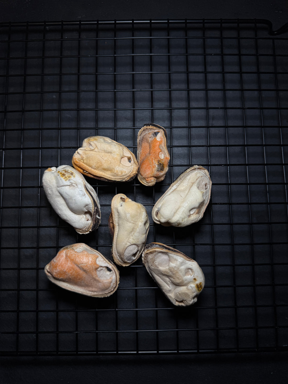 Freeze Dried Green Lip Mussel 50g