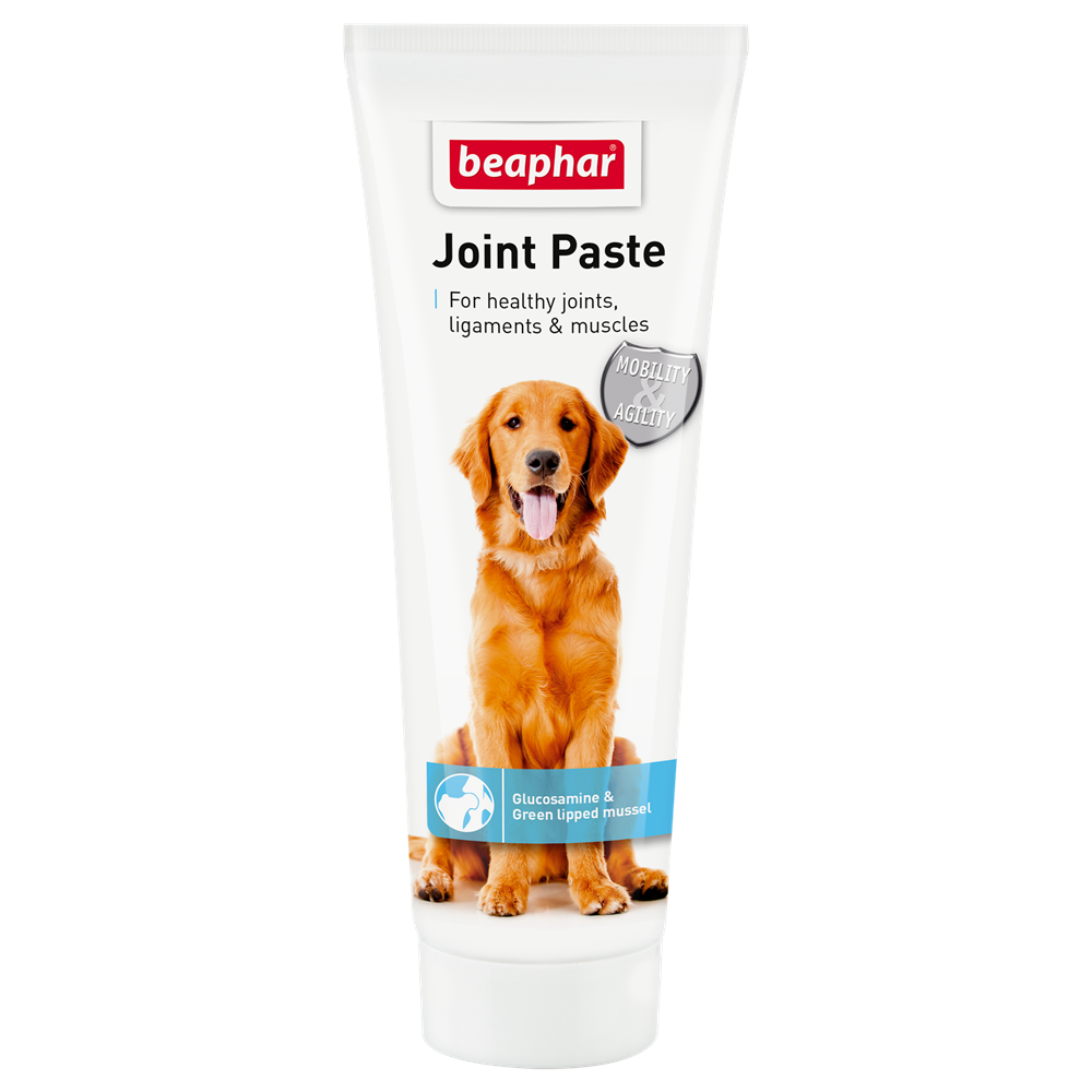 Beaphar Joint Paste for dogs 250g