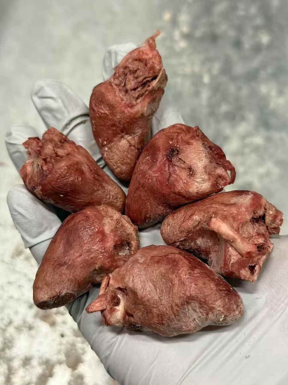 Freeze Dried Duck Heart 60g