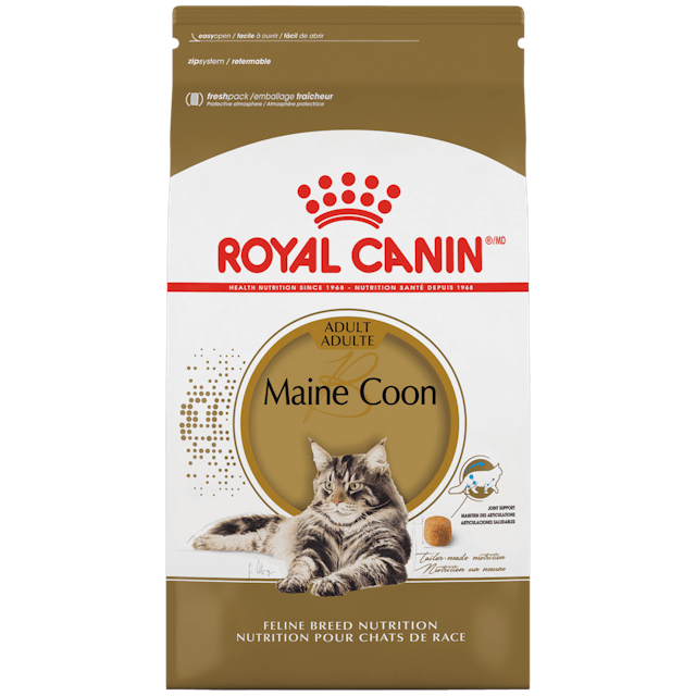 Royal Canin Maine Coon Adult Cat Food