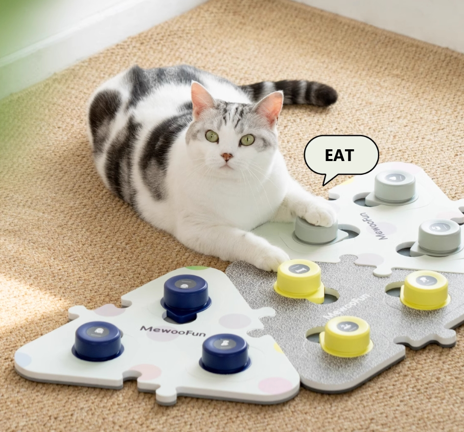 Voice Ringer Pet Button Speaking Training