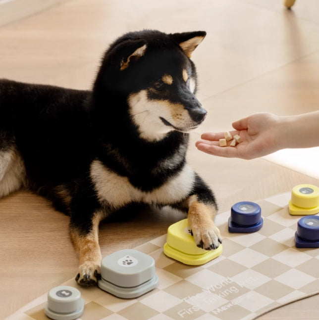 Voice Ringer Pet Button Speaking Training