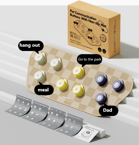 Voice Ringer Pet Button Speaking Training