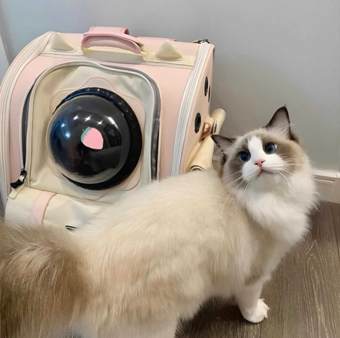Wakytu Cat Backpack Carrier Pet Travel Bag for All Seasons