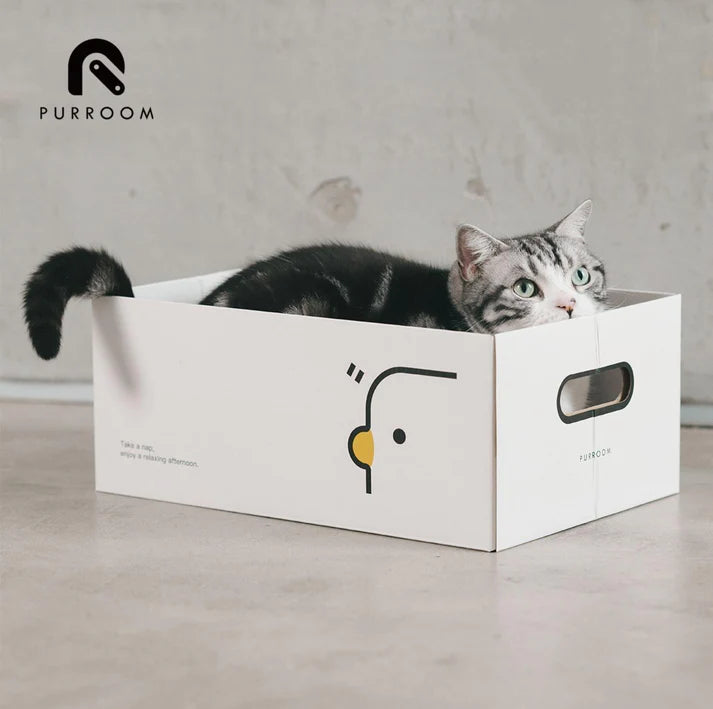 PURROOM Little Chick Series 2 In 1 Cat Scratcher Box
