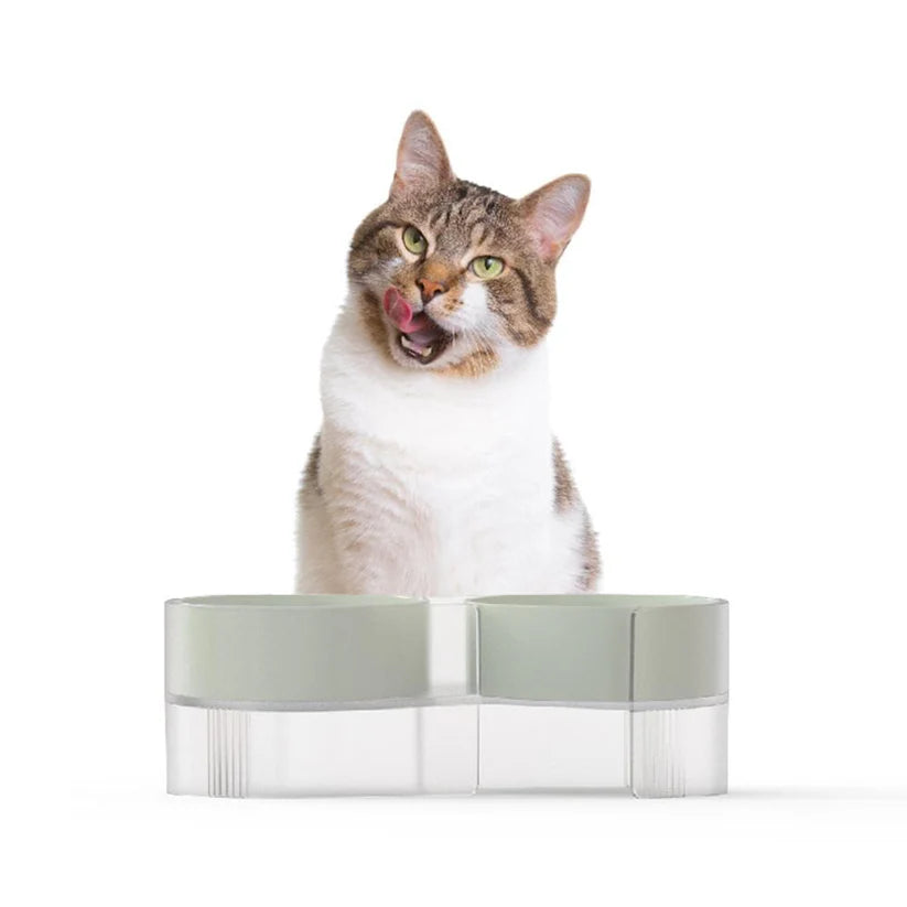 PIDAN Dual Bowl For Cats - Green