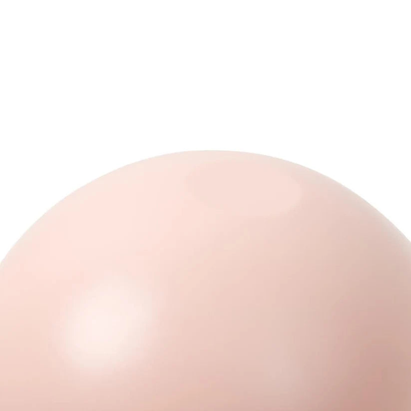 PIDAN Pet Dispenser Toy - Capsule - Pink