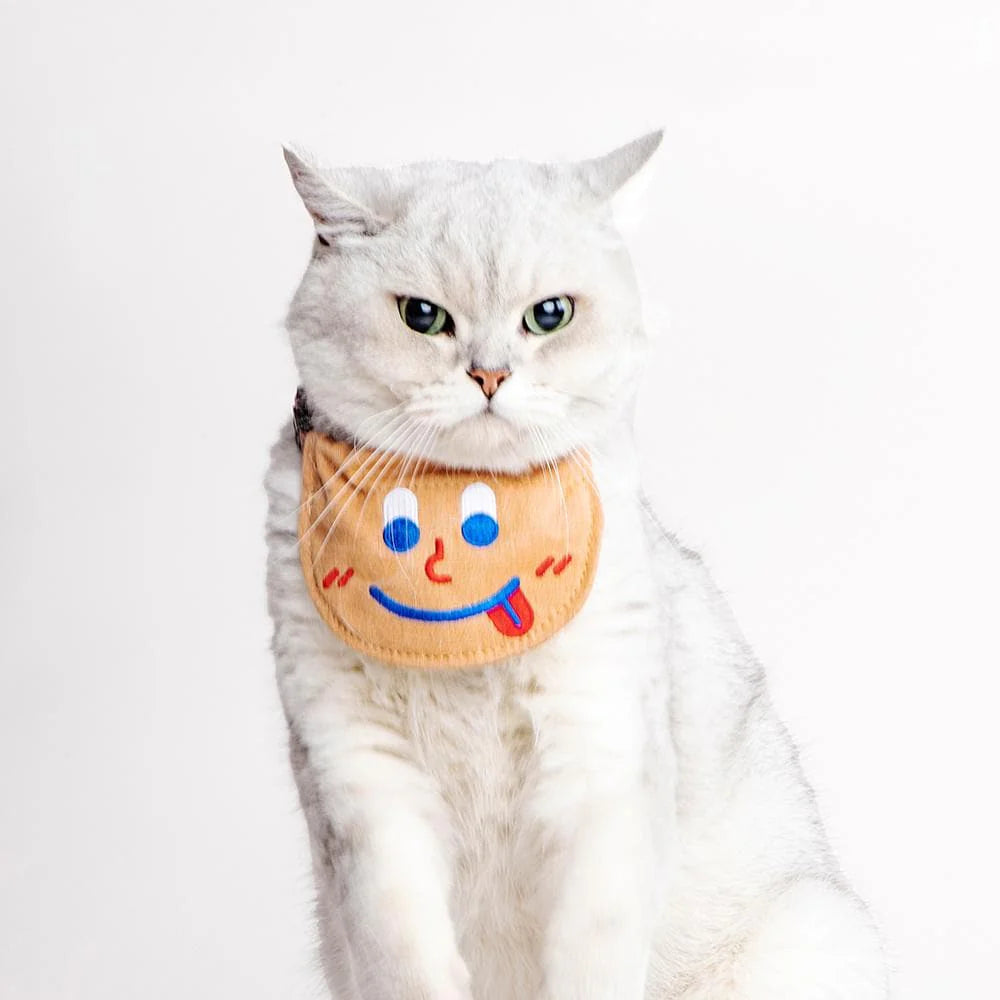 PIDAN Pet Bib - Orange