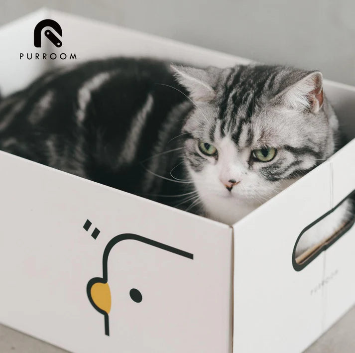 PURROOM Little Chick Series 2 In 1 Cat Scratcher Box