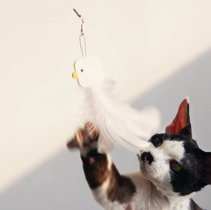 PURROOM Little Chicken Series: Extendable Feather Cat Stick Cat Toy