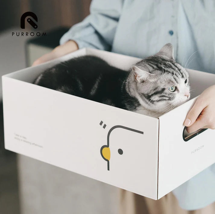 PURROOM Little Chick Series 2 In 1 Cat Scratcher Box