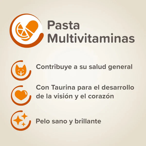 Beaphar Multi Vitamin Paste for Cat 100g