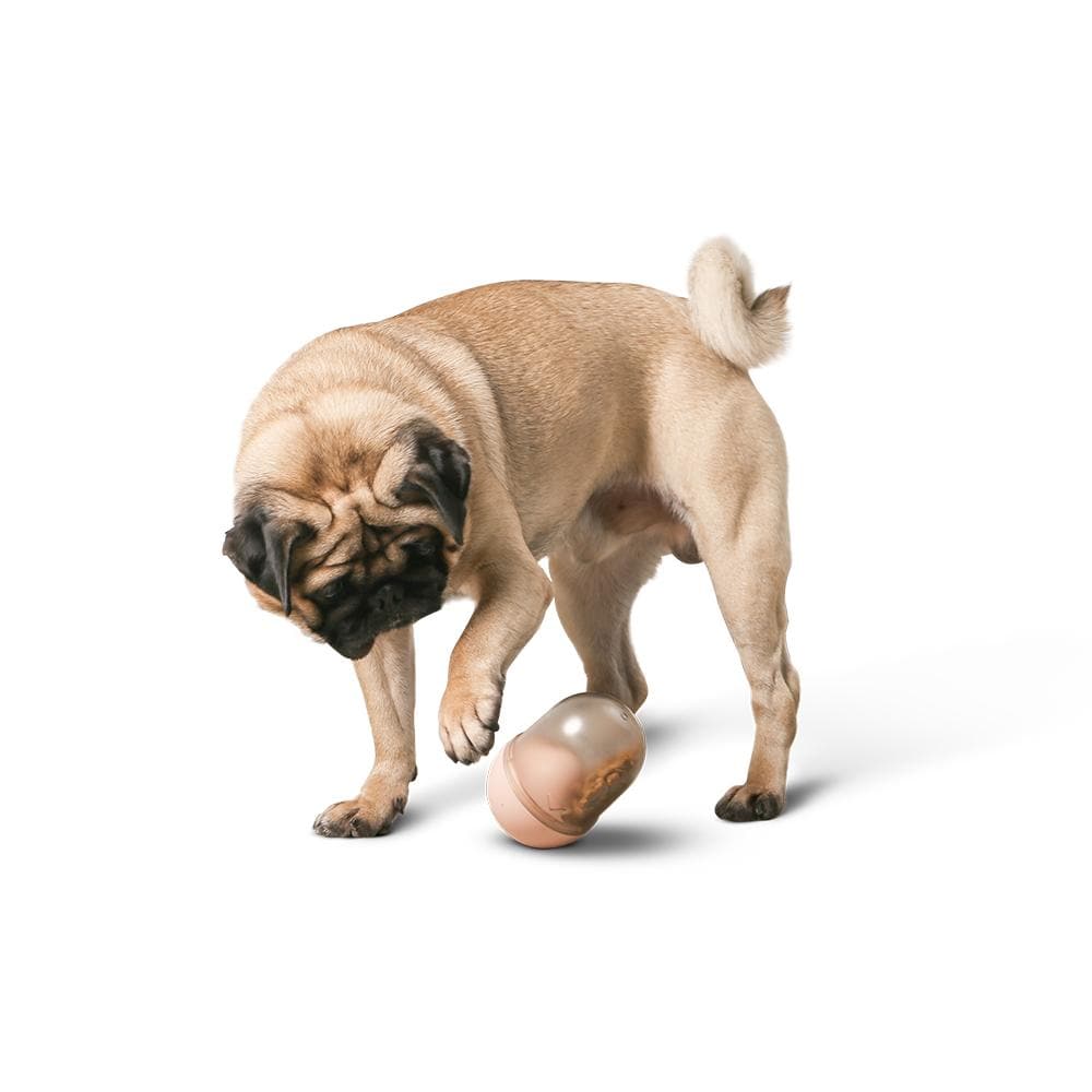 PIDAN Pet Dispenser Toy - Capsule - Pink