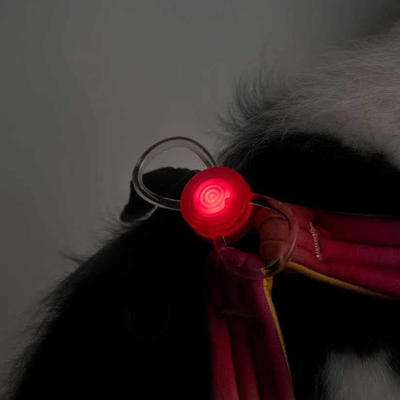 PIDAN Dogs Safety Light