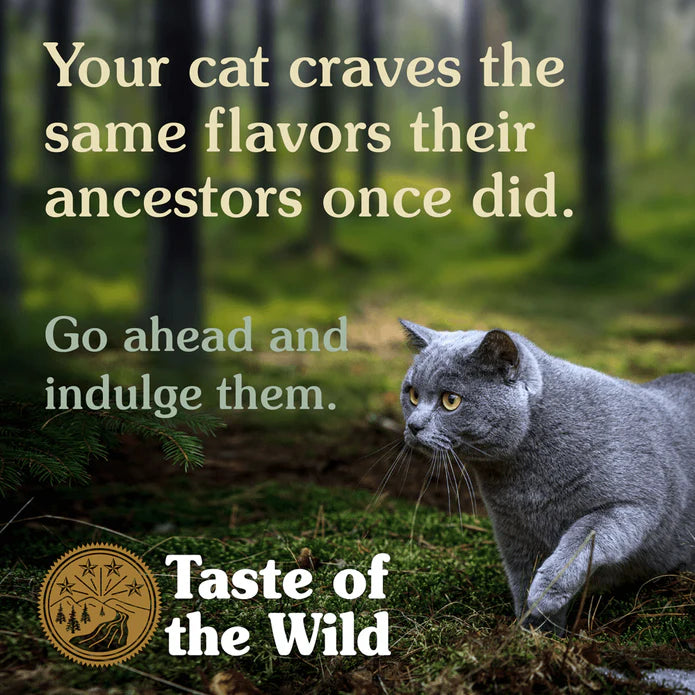 TASTE OF THE WILD Canyon River Feline® Formula with Trout & Smoked Salmon