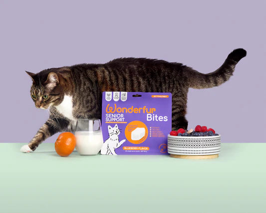 Wonderfur Bites Senior Support for Cats 50g