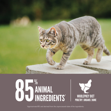 ORIJEN Fit & Trim Grain-Free Dry Cat Food