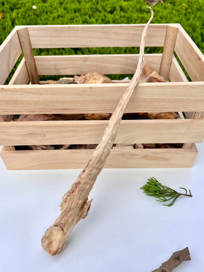 Freeze-Dried Whole Beef Tail