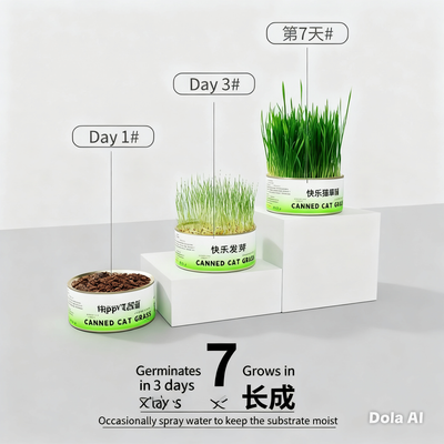 4 Creative Ways to Feed Cat Grass can: Help Your Cat Digest & De-shed Naturally, cat grass seed included - ChokyoPetStore