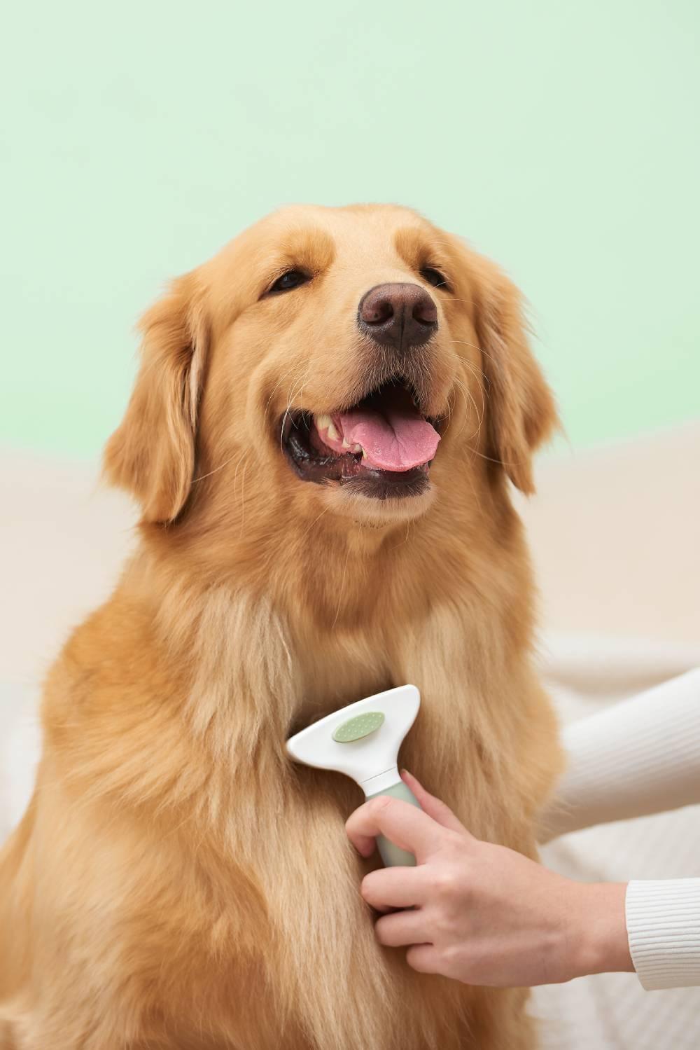 Michu Shedding Rake - The Ultimate Undercoat Grooming Tool for Australian Pet Owners