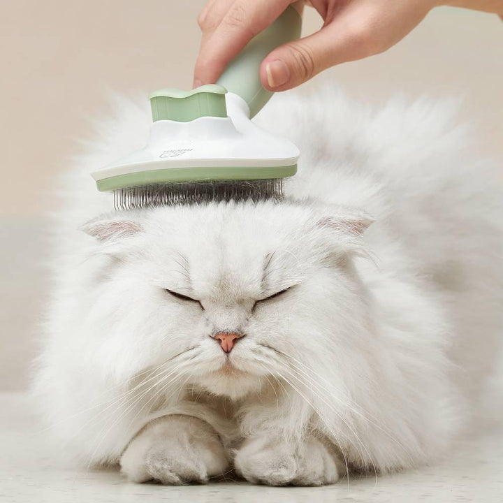 Michu Cream Round-Head Pet Grooming Brush - Perfect for Gentle Coat Care