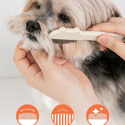 Bite Me Jelly Bear Round Face Comb