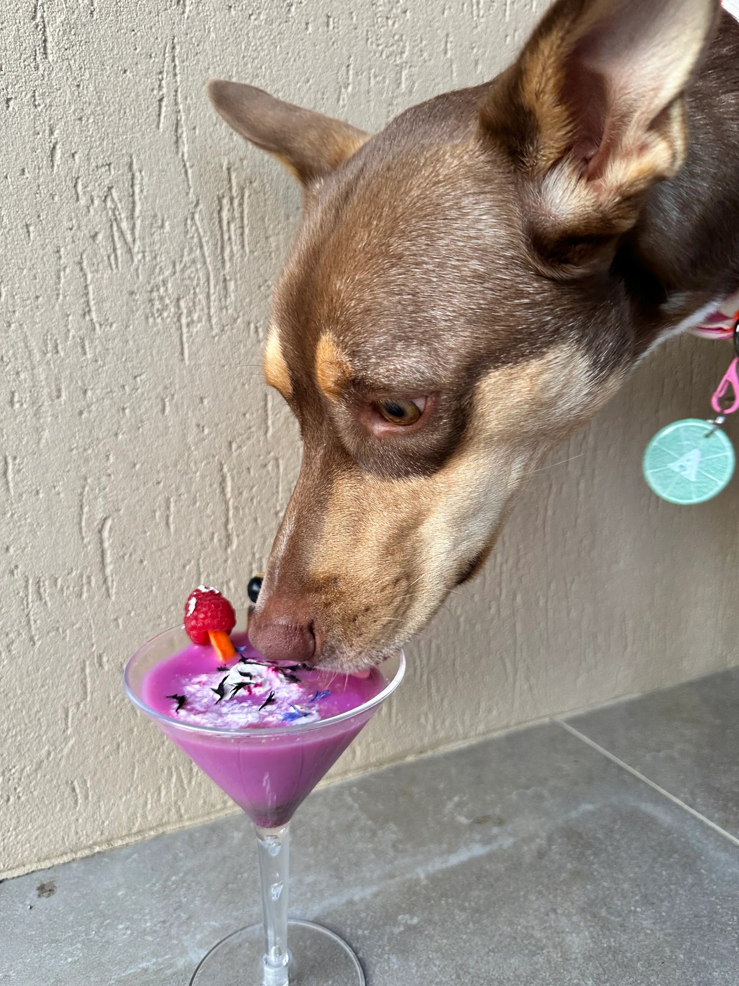 NORM. - Purple Haze Freakshake 110g