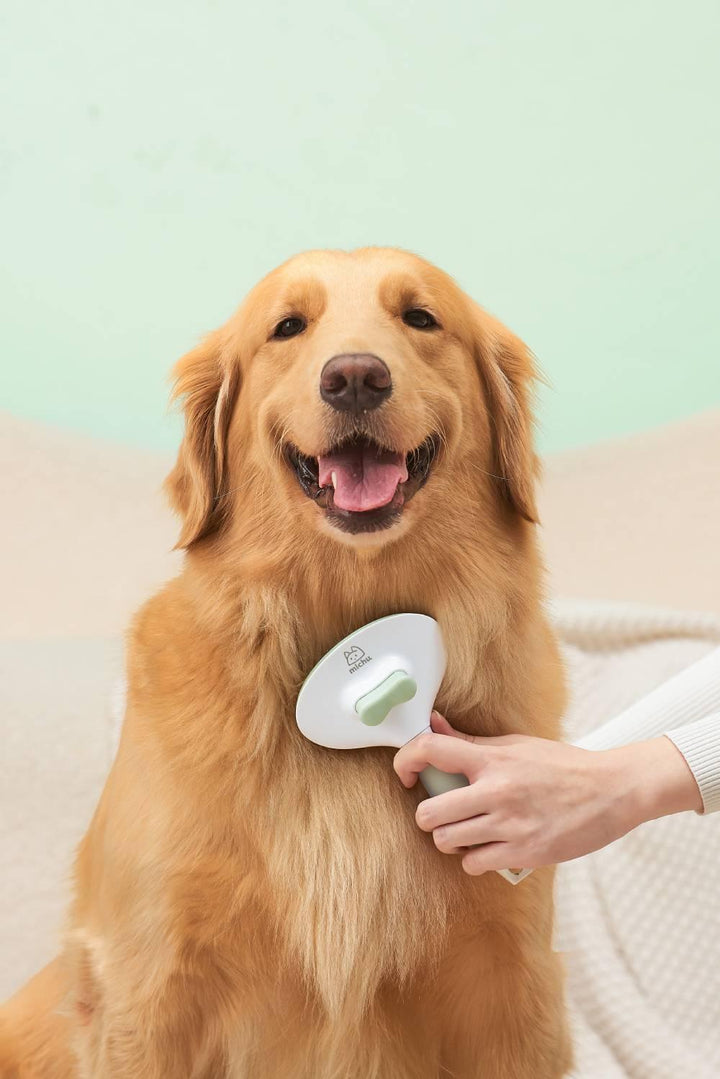 Michu Cream Round-Head Pet Grooming Brush - Perfect for Gentle Coat Care