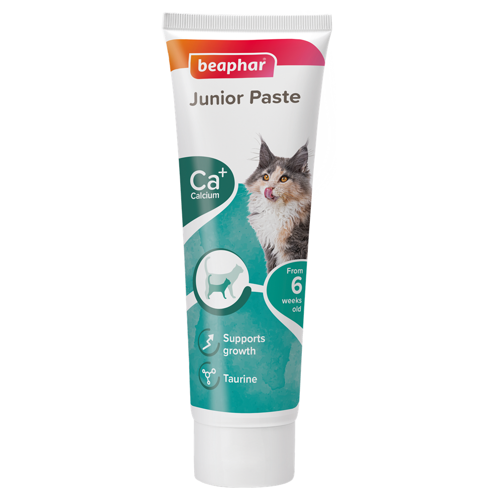 Beaphar Duo Active Paste Junior Cat 100g