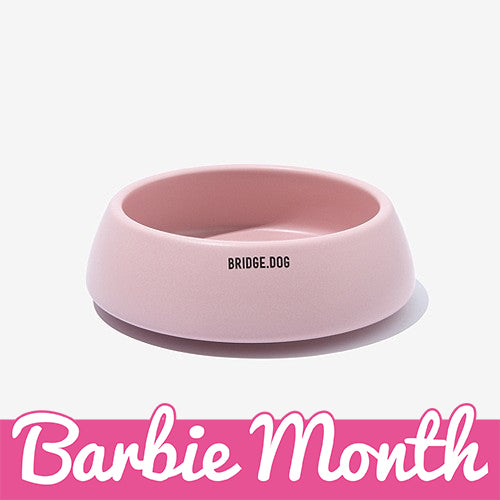 BRIDGE DOG LADDER PINK (MATTE)