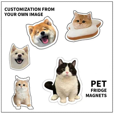 Custom Fridge Magnet