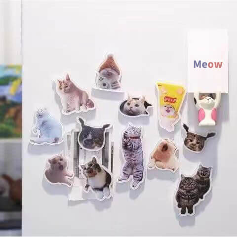 Custom Fridge Magnet