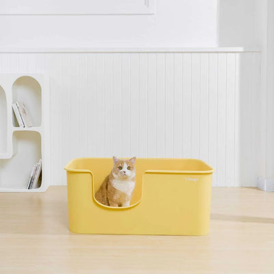 Mango Butter Litter Box XXL (Bonus Scoop)