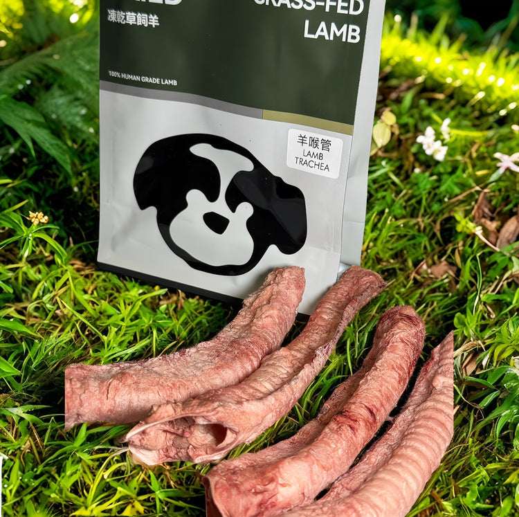 Lamb Trachea 4PC - ChokyoPetStore