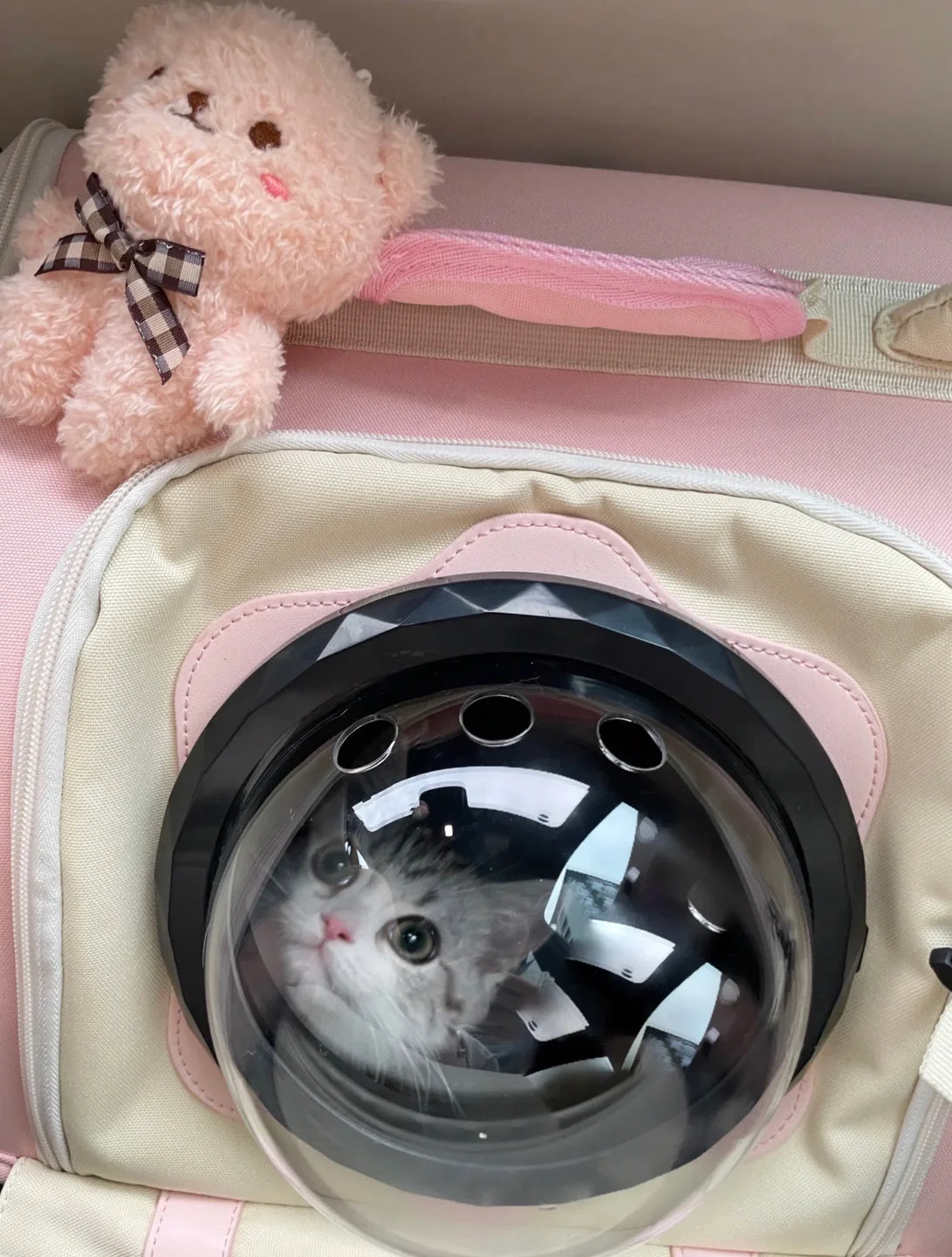 Wakytu Cat Backpack Carrier Pet Travel Bag for All Seasons
