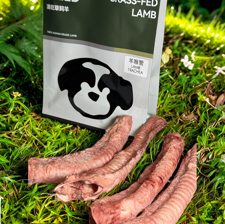 Lamb Trachea 4PC