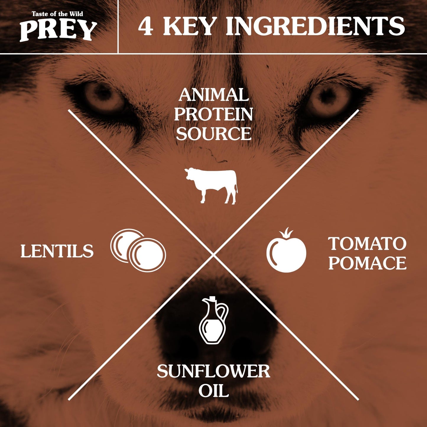 Taste of the Wild PREY Trout Dog
