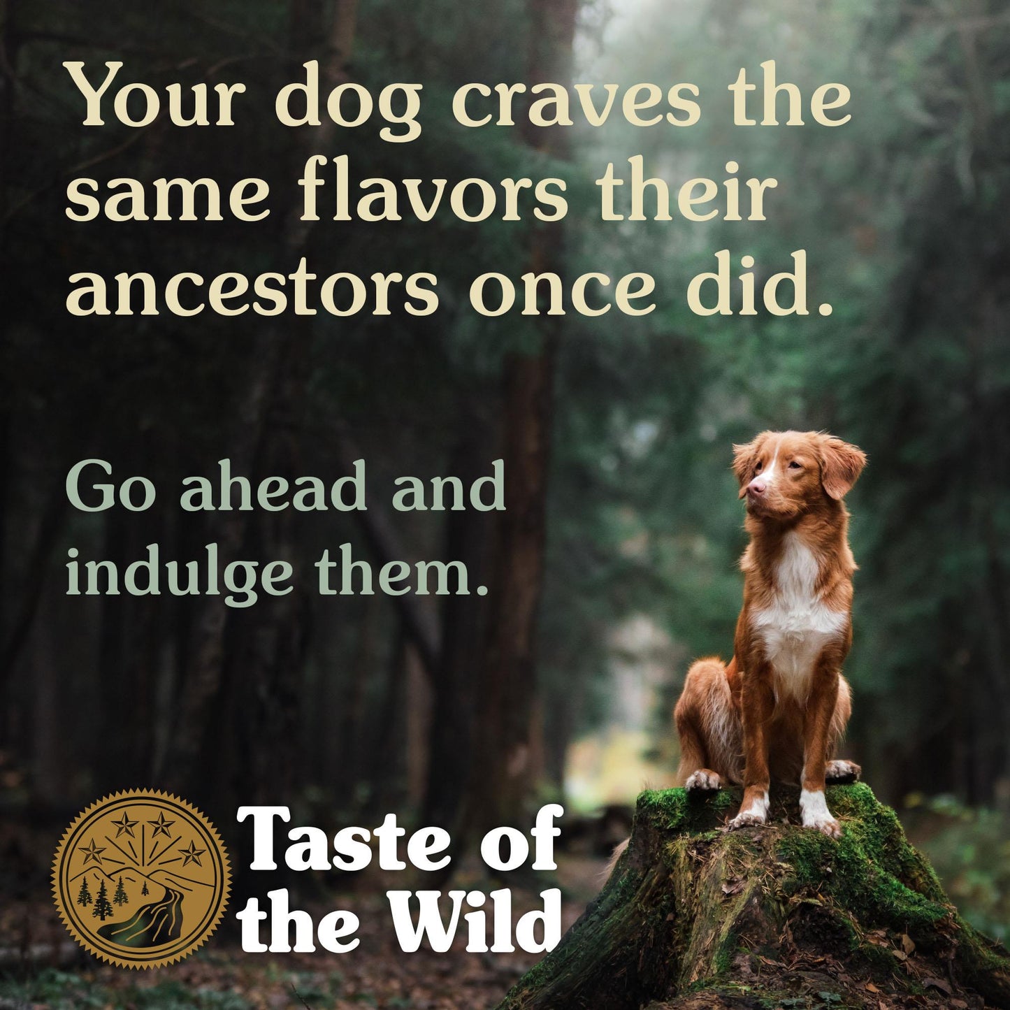 Appalachian Valley – Small Breed Canine Formula