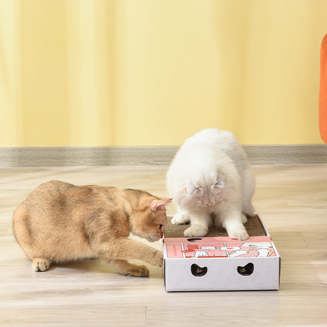 PETWANT Puzzle Cat Toys Interactive Funny Cat Teaser With Cat Scratcher - Smart Random Moving Feather - Environmental Paperboard
