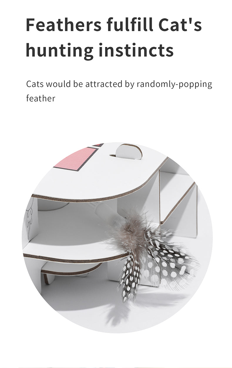 PETWANT Puzzle Cat Toys Interactive Funny Cat Teaser Toy Puzzle Box - Smart Random Moving Feather