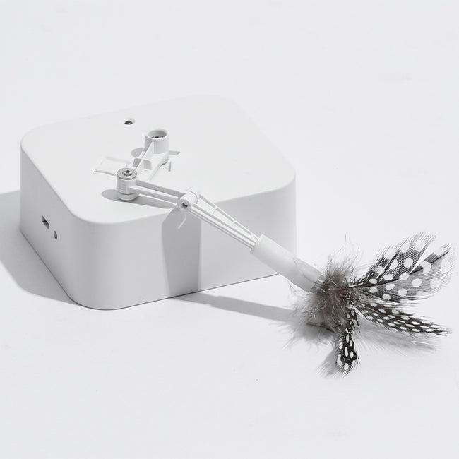 PETWANT Puzzle Cat Toys Interactive Funny Cat Teaser Toy Puzzle Box - Smart Random Moving Feather