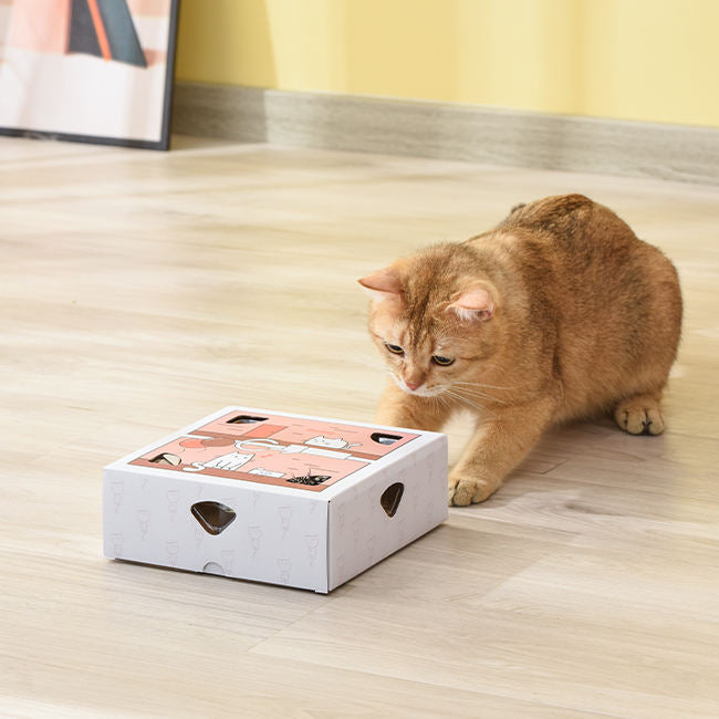 PETWANT Puzzle Cat Toys Interactive New Design New Product Funny Cat Toy Cat Electronic Toys - Smart Random Moving Feather