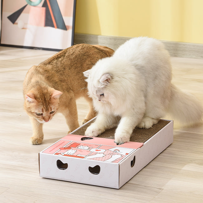 PETWANT Puzzle Cat Toys Interactive Funny Cat Teaser With Cat Scratcher - Smart Random Moving Feather - Environmental Paperboard