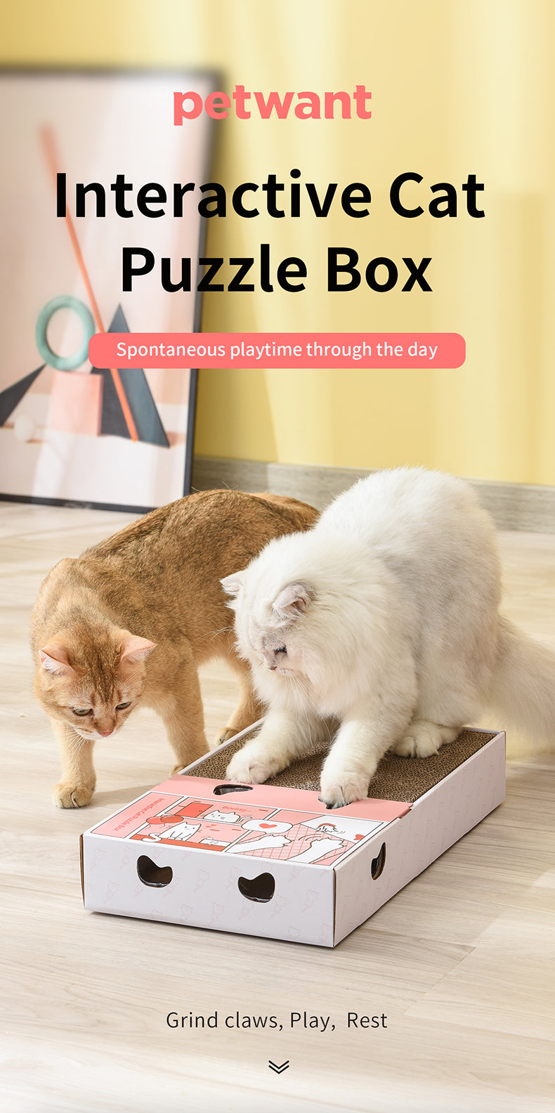 PETWANT Puzzle Cat Toys Interactive Funny Cat Teaser With Cat Scratcher - Smart Random Moving Feather - Environmental Paperboard