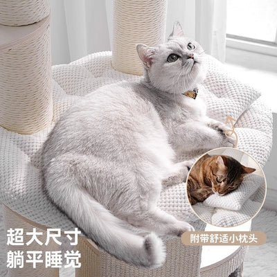 SOPAPETS Mousse Cat Tree 152cm|Waffle Fabric Anti-Fur|Large Cat Friendly|Cream Design