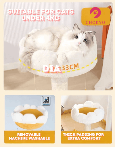 Cloud Flower Cat Tree with Plush Bed – 33cm Removable & Washable Cat Nest for Small Cats and Kittens - ChokyoPetStore