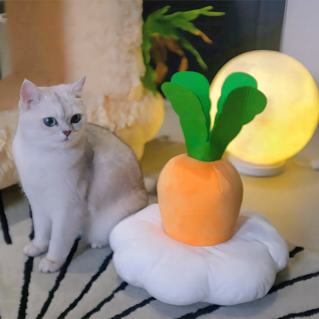 Fluffy Carrot